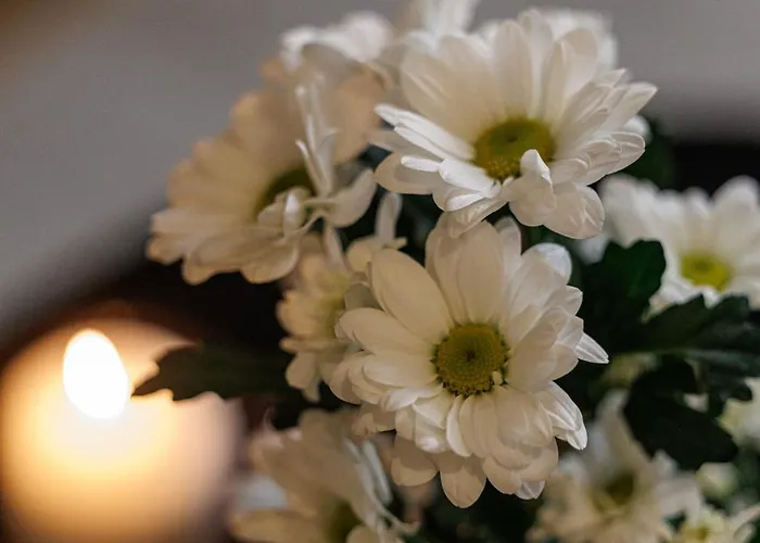 Апартаменты Wonderful Close To Garibaldi - Aircon *